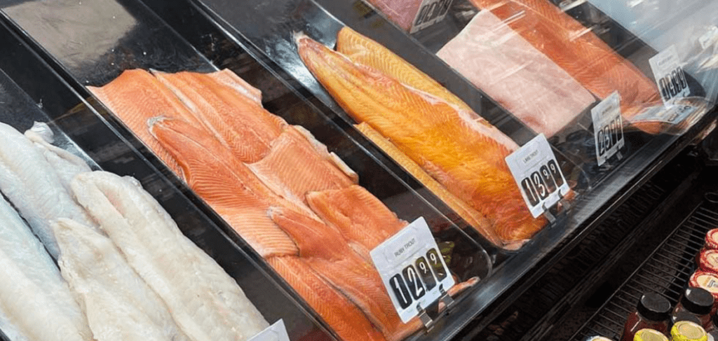 fresh salmon behind glass